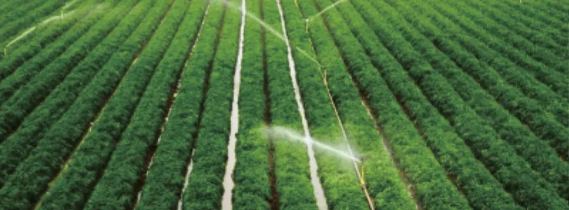 Power-Free Irrigation