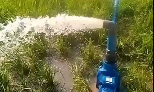 pumps help Nigerian farms harvest