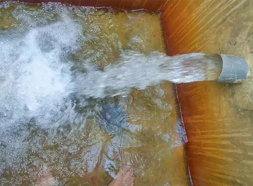 Customer Story: Efficient Irrigation, More Vibrant Flowers