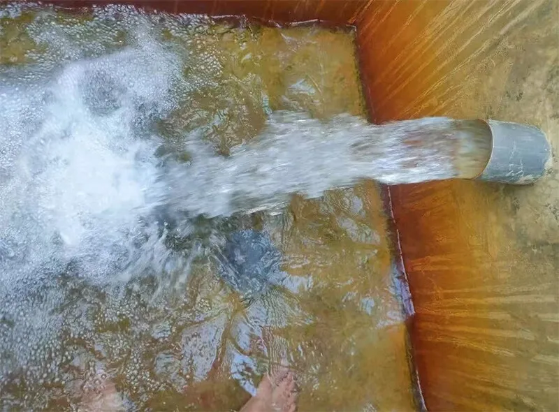 Customer Story: Efficient Irrigation, More Vibrant Flowers