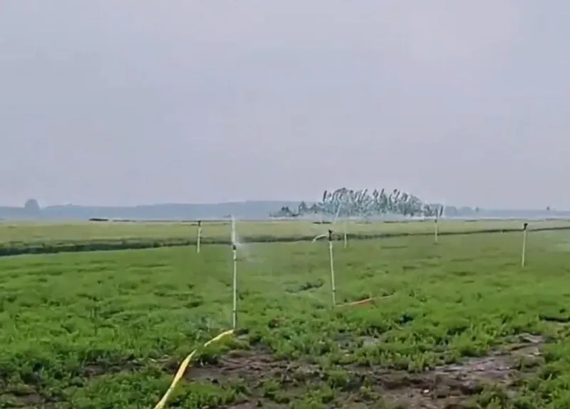 Recently, a feedback video of Hand Pumps from a customer in Henan has been circulated on the Internet