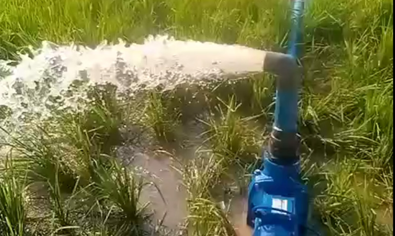 强劲出水，高效灌溉！汉德泵助力尼日利亚农田丰收Handuro